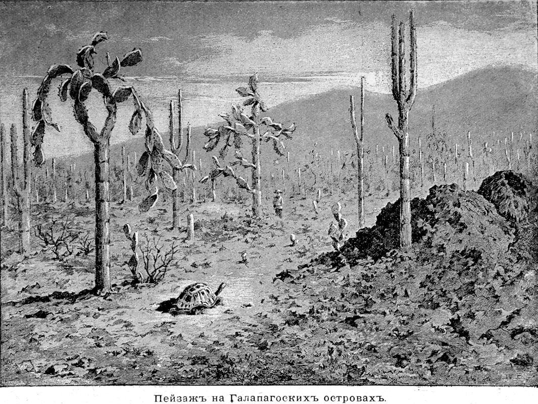 337 Пейзаж на Галапагосских островах